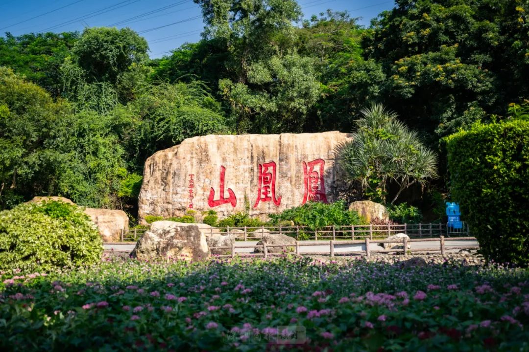 标本与科普陈列