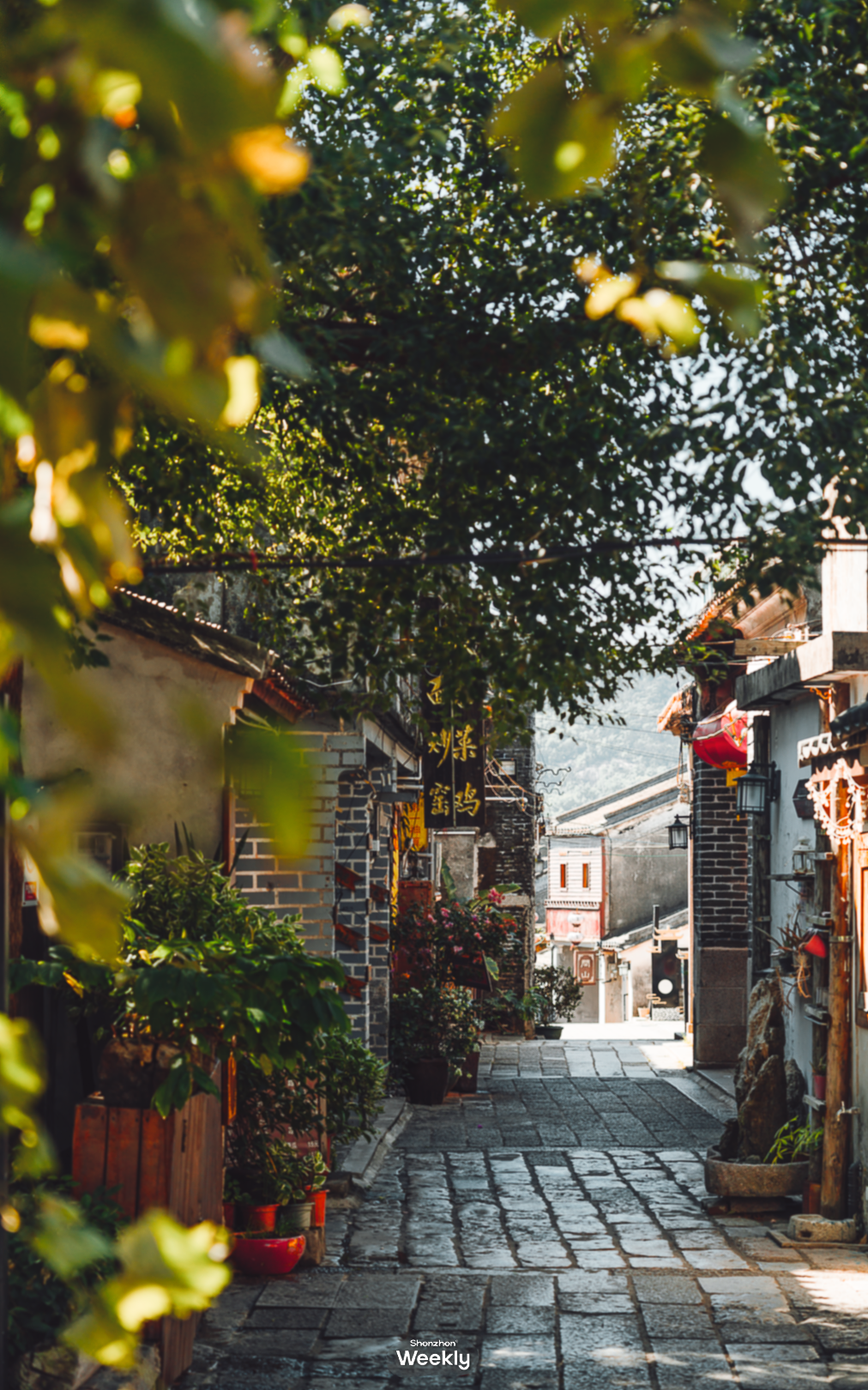 微信图片_2025-10-06_183007_277.png