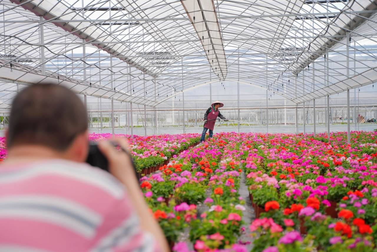 DSC06290-opq3574471131.jpg DSC06290-opq3574471131.jpg