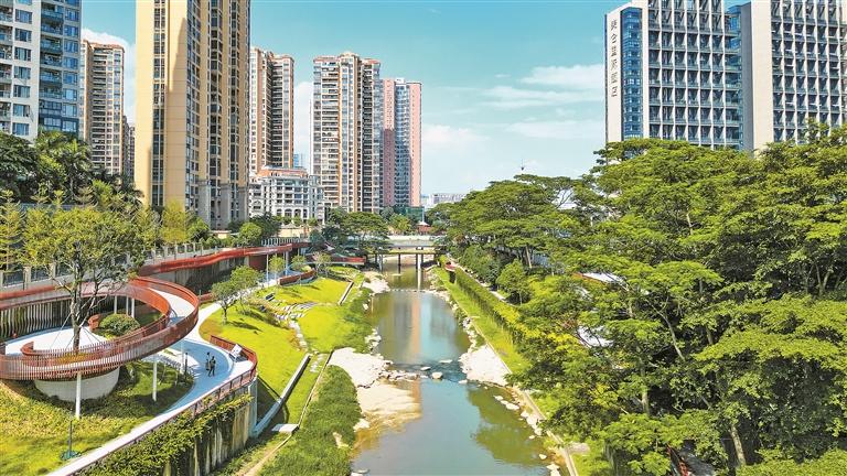 龙华河碧道湿地与环城绿道民治西段城市公园两大生态建设示范点带给市民绿色福利-宝安湾