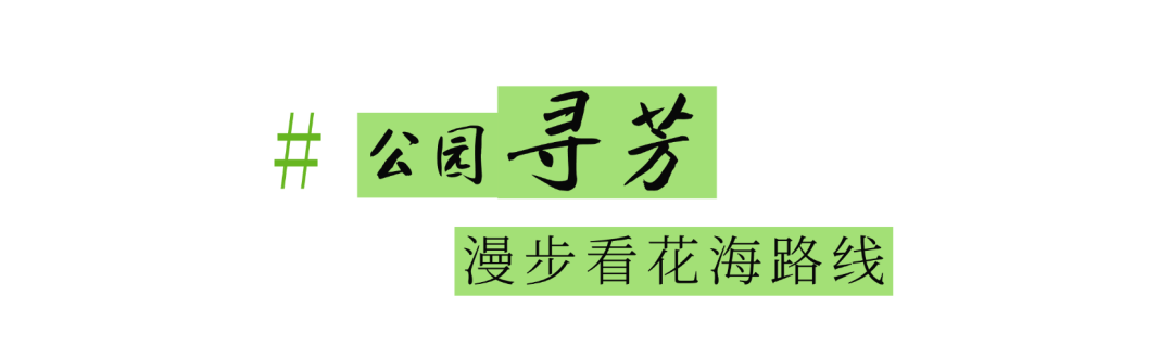 图片 40.png