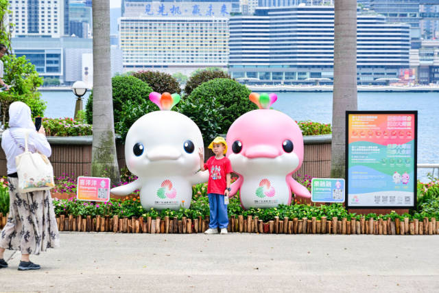 香港金紫荆广场，市民与“喜洋洋”“乐融融”留影。新华社记者 朱炜 摄