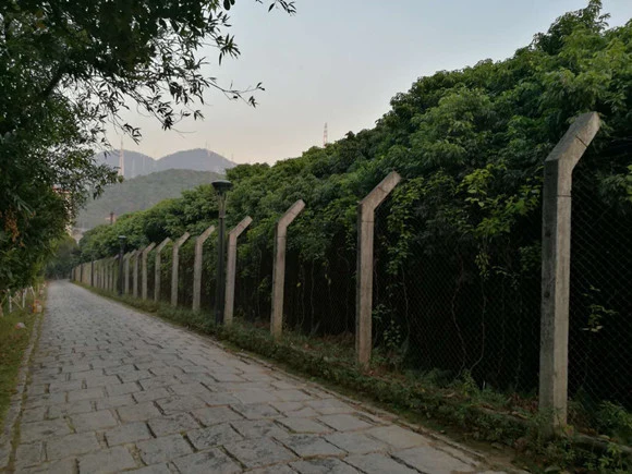 22-曾经的深圳经济特区管理线,也被称为“二线关”,现在已成为绿道的一部分。梁宙 摄.jpg