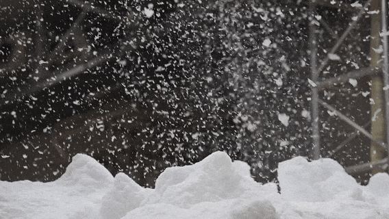 640.gif