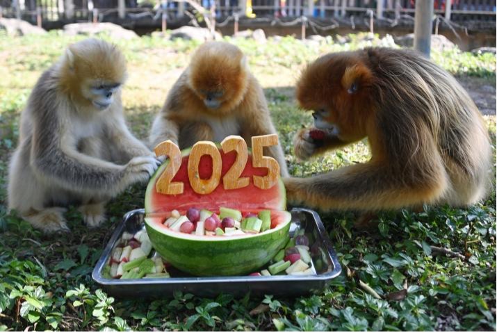 图片3.jpg