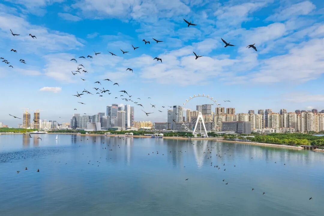 微信图片_2026-08-15_083155_030.jpg