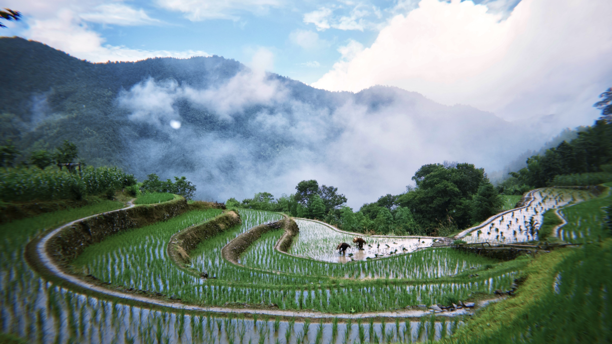 image006.png
