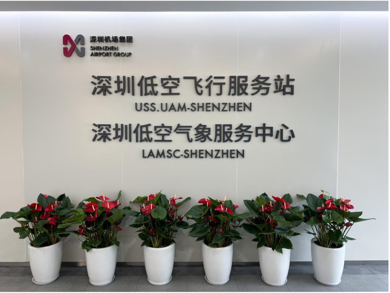 图片 1.jpg