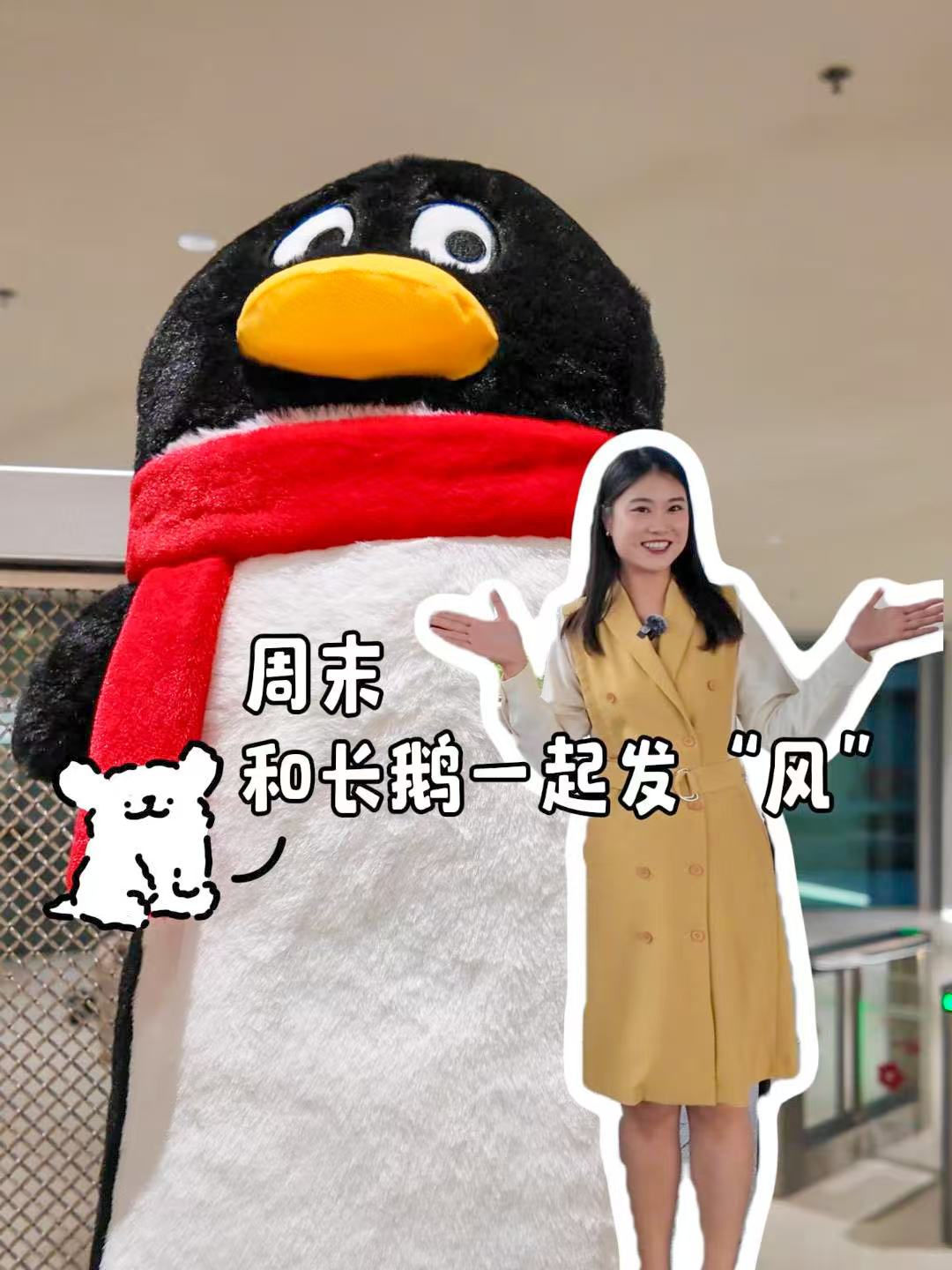 湾视频丨周末和长鹅一起发“风”