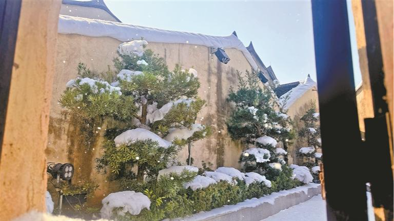 穿越霍格沃茨 漫步南方雪境！邀您共赴一场龙华“奇遇”