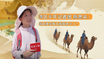 湾区少年 | 小记者陈思朵：园区骆驼每天能载多少人？