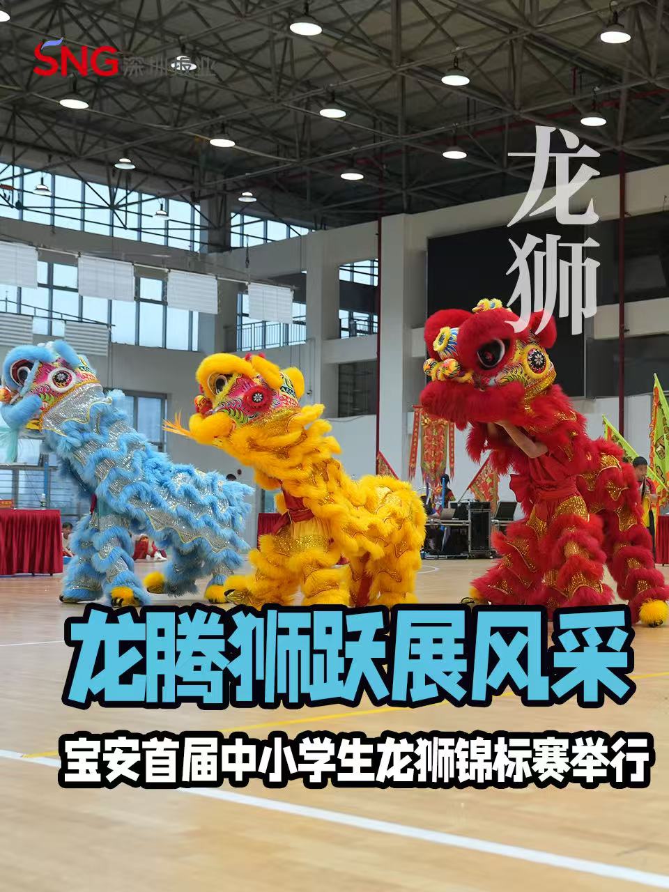 湾视频 | 龙腾狮跃展风采！宝安首届中小学生龙狮锦标赛举行