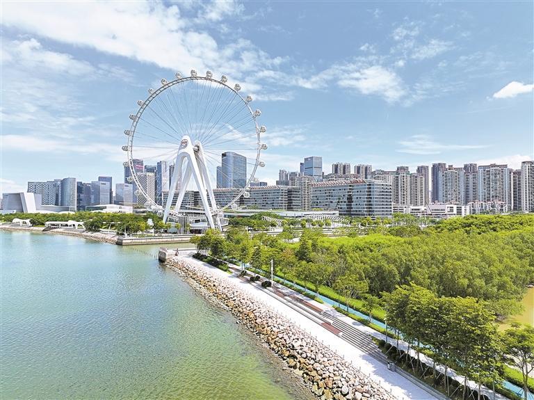 让“烟火气”与“文明风”同频共振！宝安专项部署城市环境秩序综合整治工作