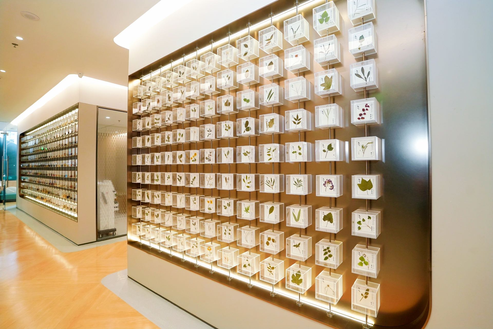 深圳市首家鸿蒙智慧社康在宝安亮相