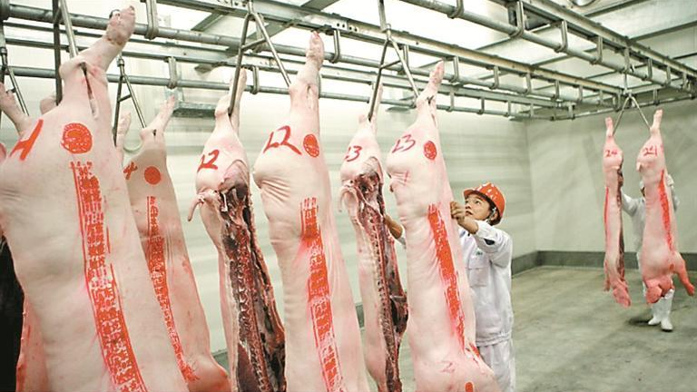 新春走基层 | 每天最低保障100吨肉品稳定供应，嘉康食品公司春节保供“不打烊”