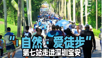 湾视频｜i自然·爱徒步”第七站走进深圳