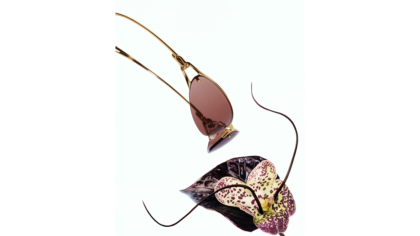 解构植物脉络之美！GENTLE MONSTER推出全新系列