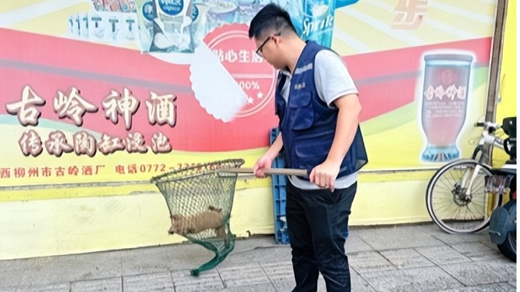 马田将围社区多措并举做好流浪犬处置与文明养犬宣传
