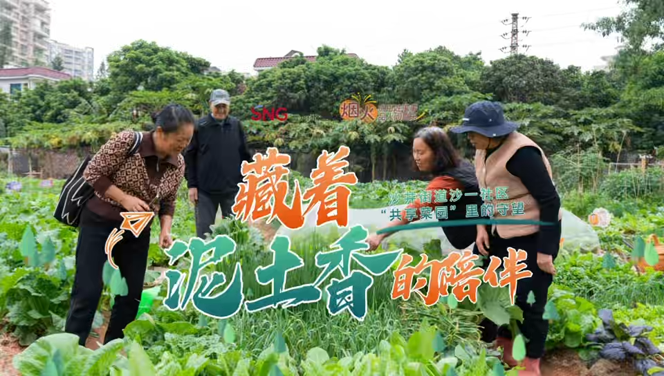 烟火（5）丨藏着泥土香的陪伴