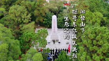 湾视频 | 阳台山下，探寻东江纵队英烈“生死之约”
