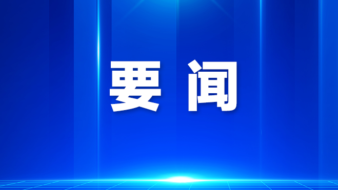 龙华：以实干实绩服务全区高质量发展