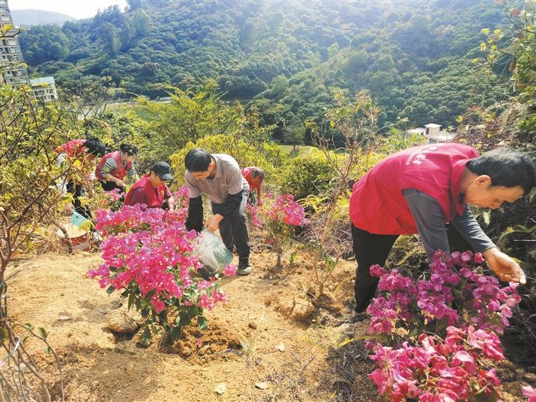 从春天出发，在这里推窗见绿推门闻花香！石岩三祝里村“花园式城中村”打造项目启动