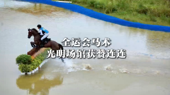 湾视频 ｜ 全运会马术光明场馆获赞连连