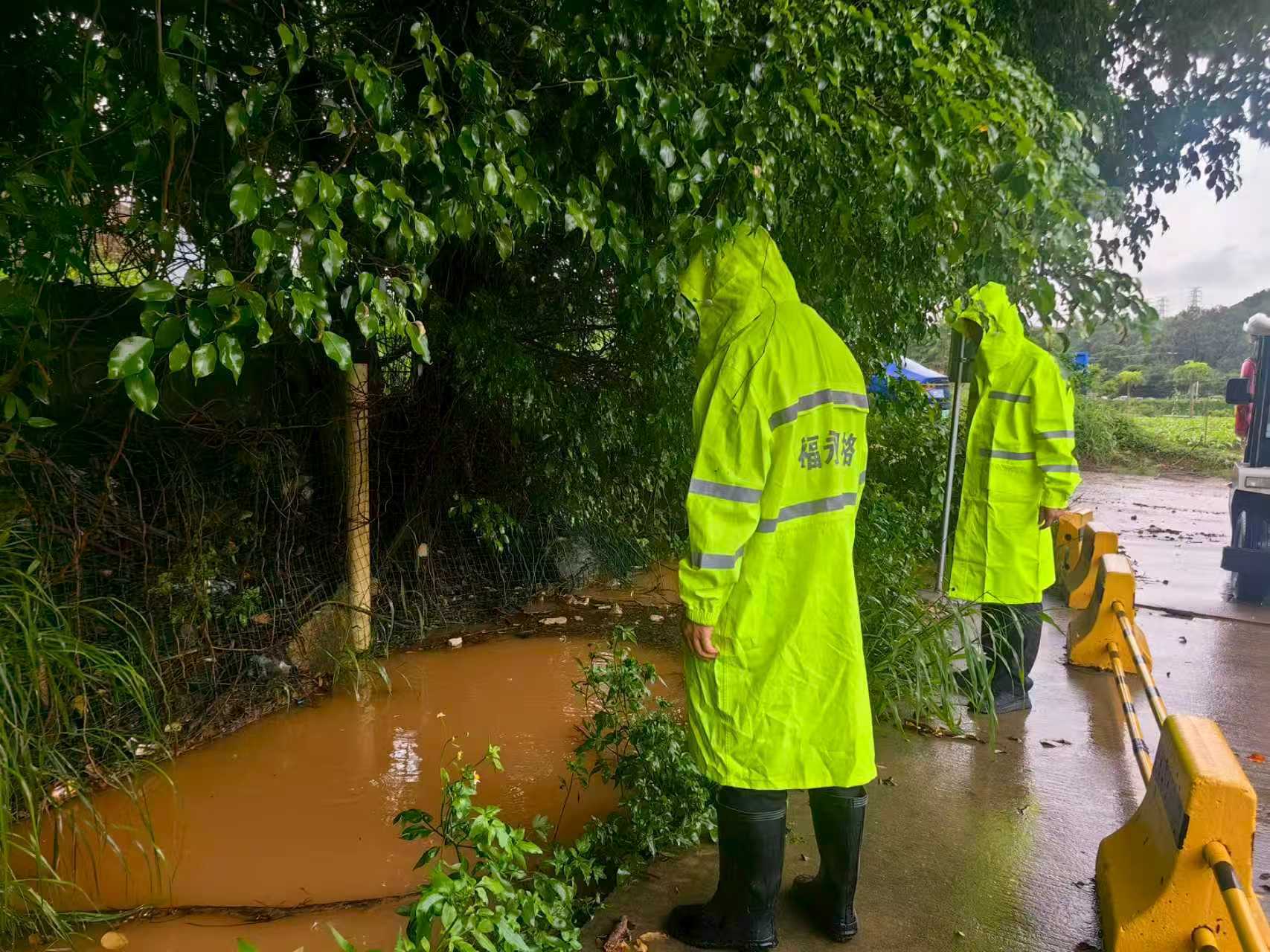 福永网格员闻“汛”而动 全面筑牢暴雨“安全堤”