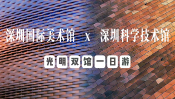 湾视频｜深圳国际美术馆 x 深圳科学技术馆