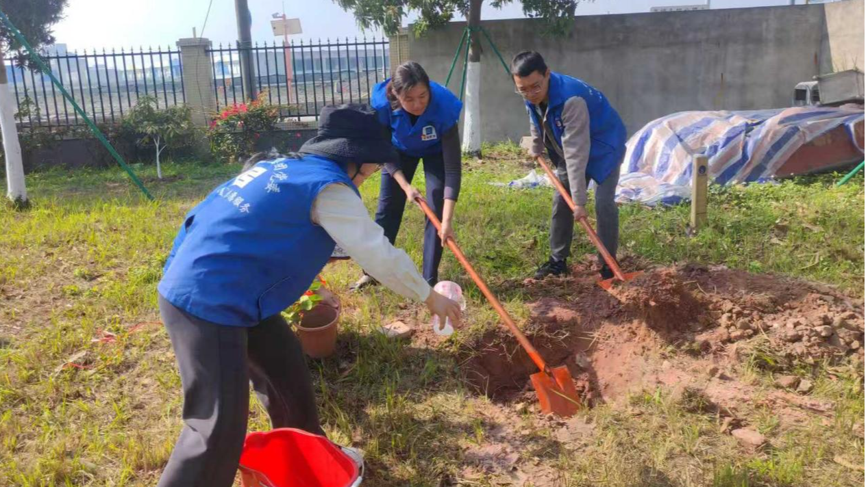 福海排水党支部用行动建设绿美工作环境