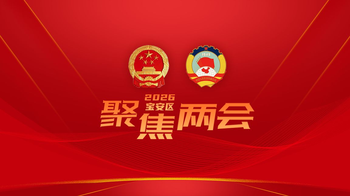 聚焦2026宝安区两会