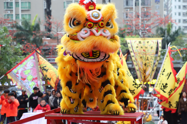 本周六燃炸！湾区7城10支冠军狮队，齐聚宝安大仟里争霸