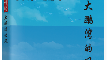 焦朝发新作《大鹏湾的风》序言