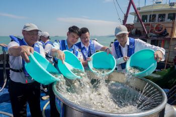 2026年前海合作区生态增殖放流活动顺利举行