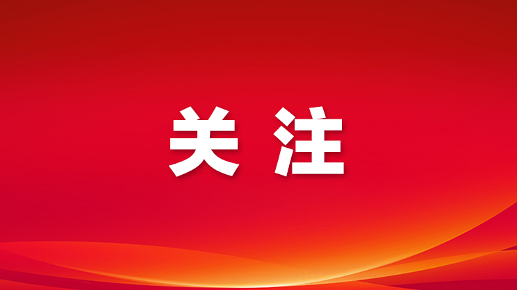 “百日整治”77宗违建全部拆除