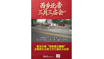 湾视频 | 碧宝小港“河畔春日雅集” 点亮西乡北帝三月三庙会分会场