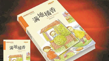 阅读 | 海边，我偷藏了一枚隐喻的贝壳