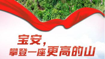 湾视频丨宝安，攀登一座“更高的山”
