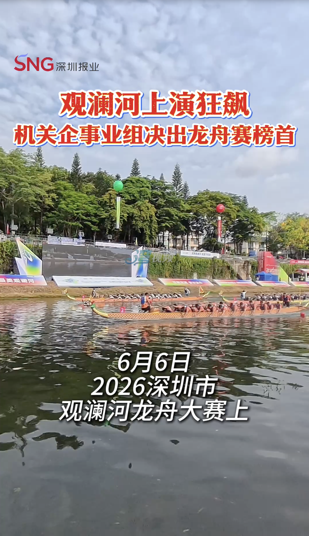 湾视频丨观澜河上演狂飙，机关企事业组决出龙舟赛榜首