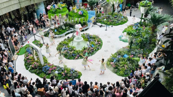 商通万企，惠达百姓！数说宝安商务2025年幸福答卷