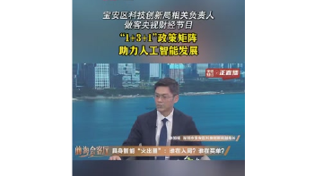 湾视频丨宝安区科技创新局相关负责人做客央视财经节目 “ 1+3+1”政策矩阵 助力人工智能发展