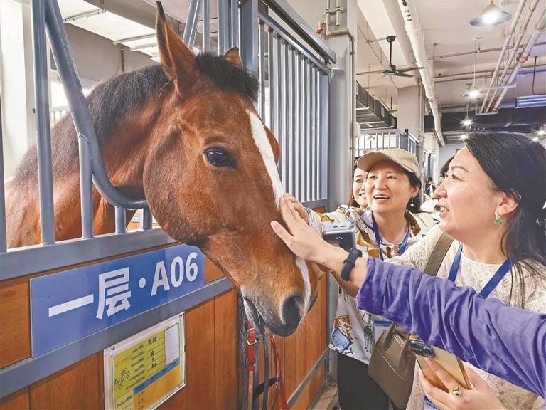 业界代表纷纷看好光明研学市场前景
