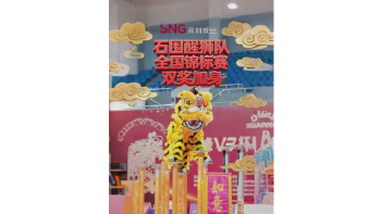 湾视频丨 石围醒狮队全国锦标赛“双奖加身”