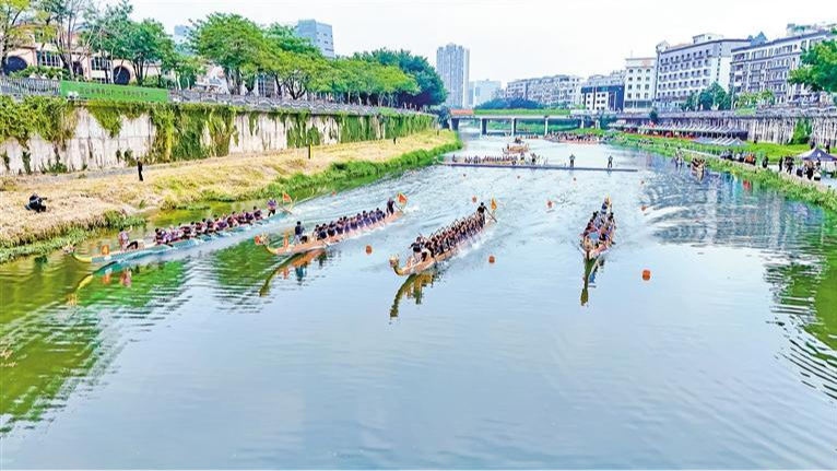 今日，观澜河龙舟赛开桨！邀您共赴民俗嘉华