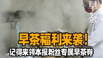 湾视频 ｜早茶福利来袭！记得来领本报粉丝专属早茶券