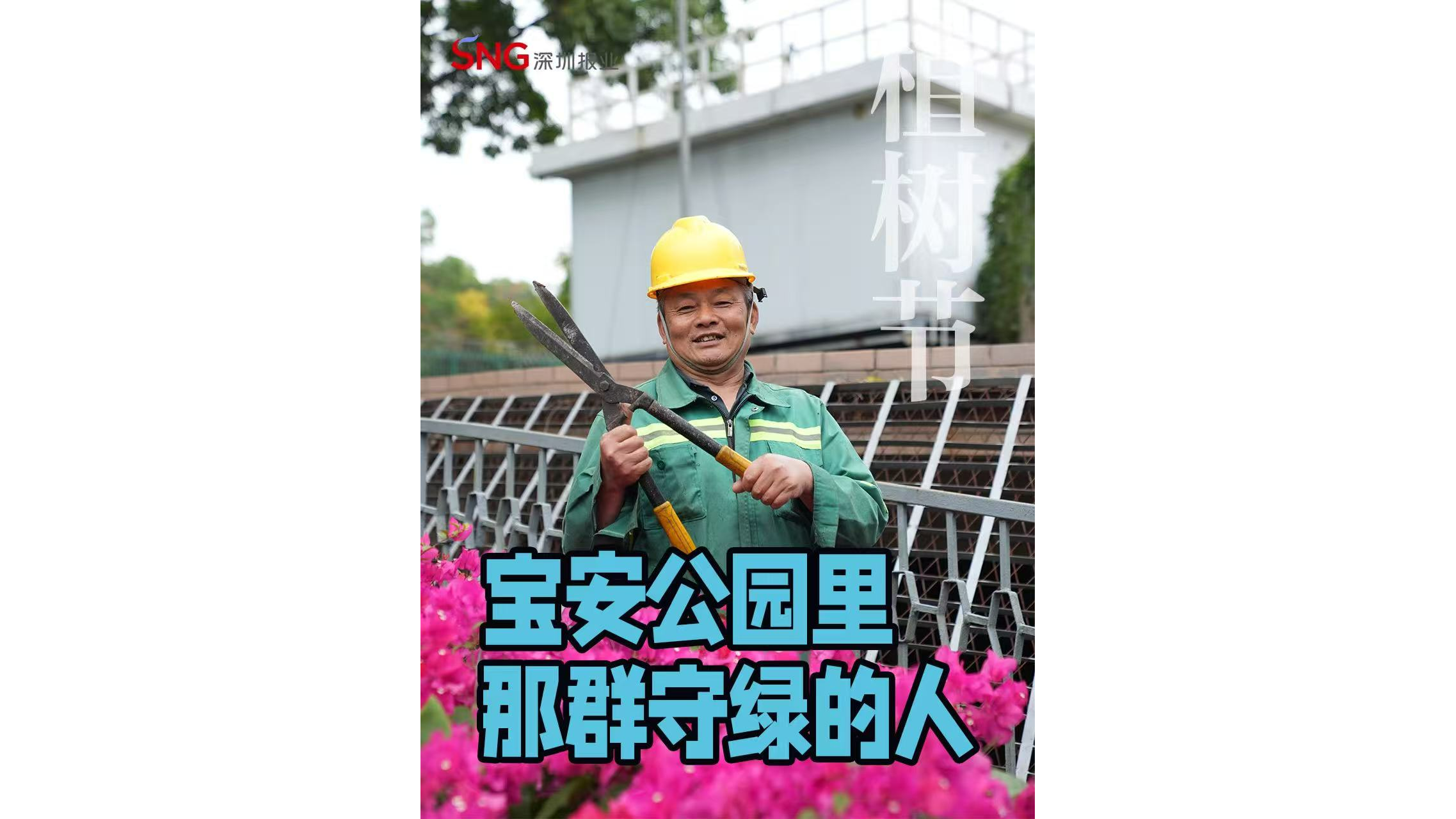 湾视频 | 宝安公园里，那群守绿的人