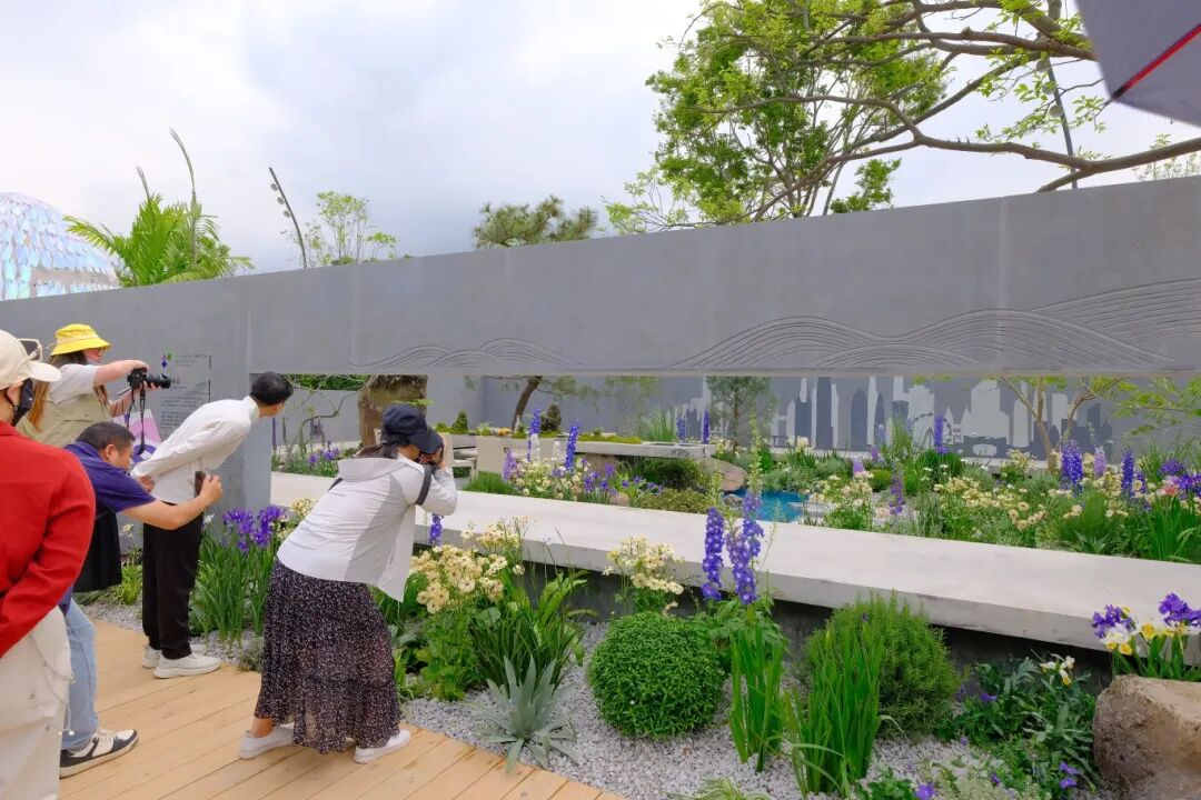 2026粤港澳大湾区花展浪漫启幕 宝安区参展作品获金奖和最佳设计奖