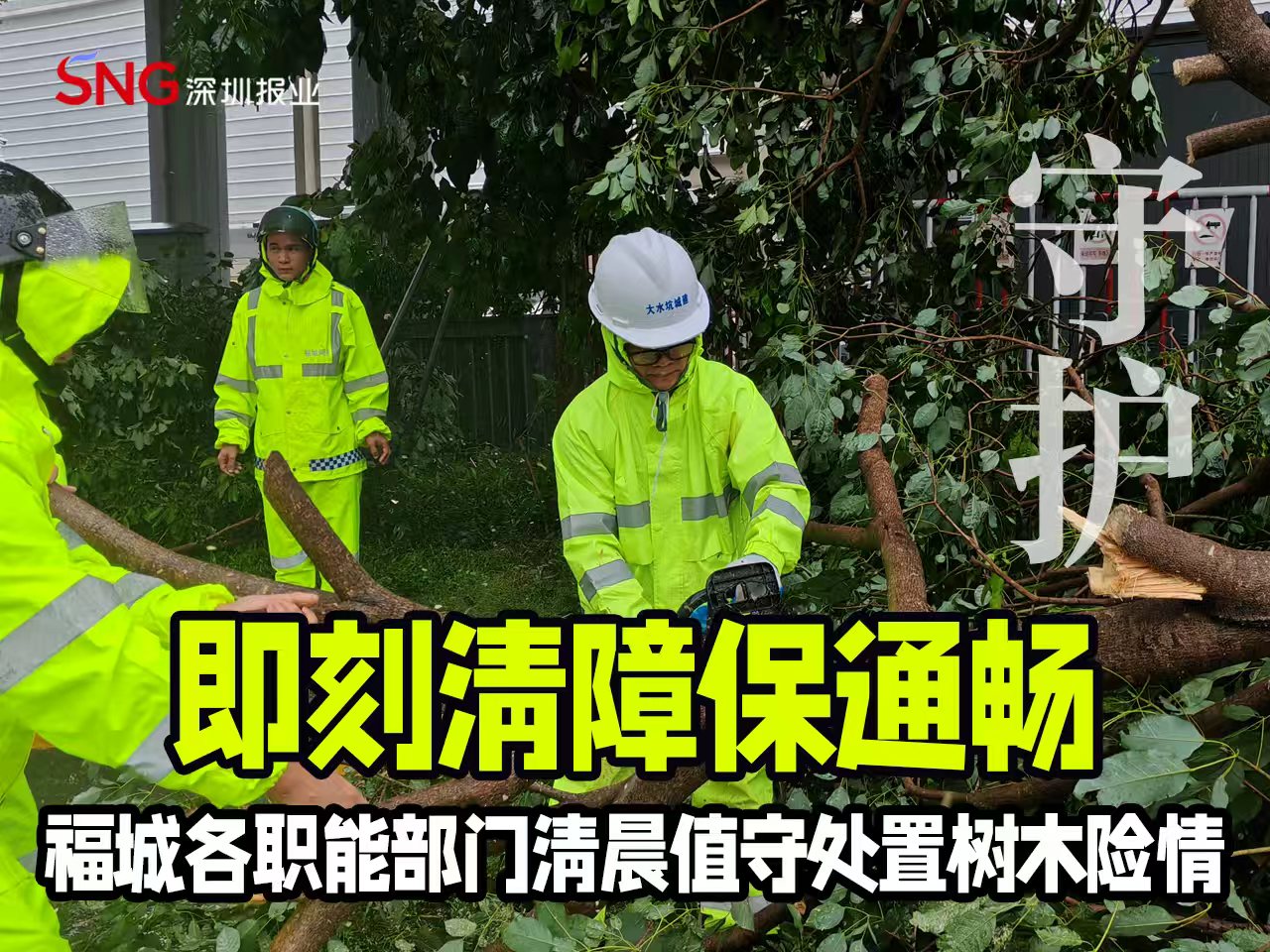 湾视频｜即刻清障保通畅，福城各职能部门清晨值守处置树木险情