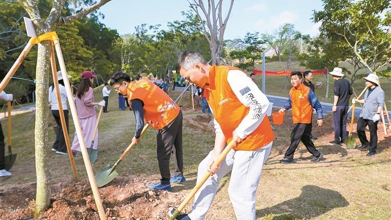 植绿1300株！龙华区掀起春季绿化热潮