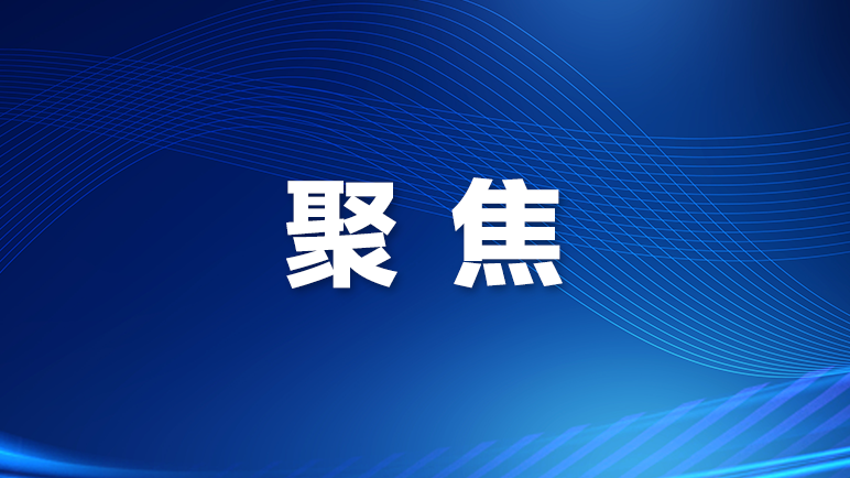 “探企择岗”搭桥梁，大化-西乡劳务协作促23人达成就业意向